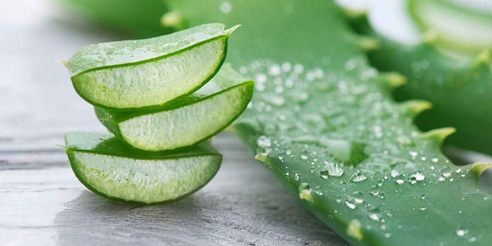 4 Manfaat Aloe Vera Untuk Kulit Wajah