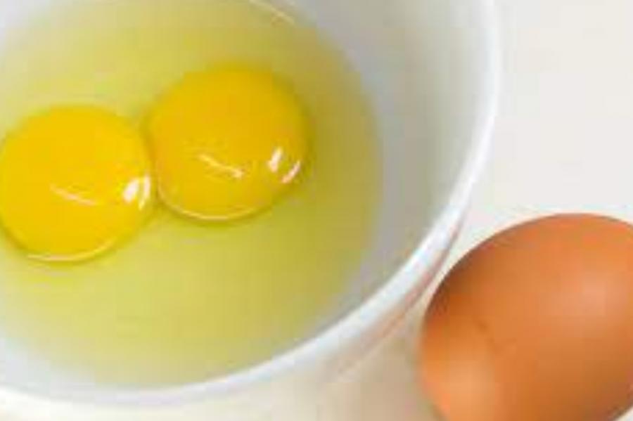 masker putih telur